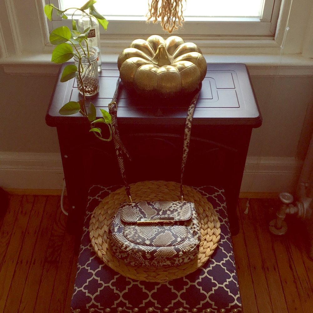 Sexy🚨Vintage Snake Skin crossbody bag never worn.